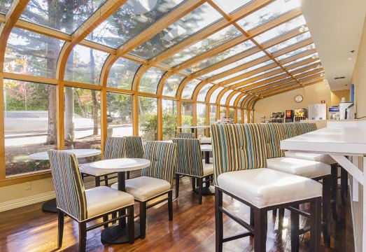 Comfort Inn & Suites Sea-Tac AirportHotel Overview