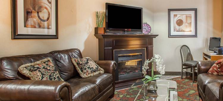 舒适酒店及套房(Comfort Inn & Suites)图片