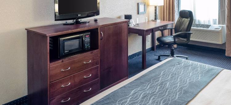 阿尔伯特利舒适酒店(位于步道旅行中心)(Comfort Inn Albert Lea at Trails Travel Center)图片