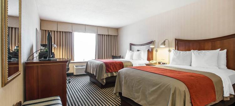 孟菲斯市中心舒适酒店(Comfort Inn Memphis Downtown)图片