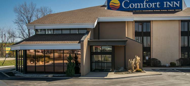 舒适酒店-东北区(Comfort Inn Northeast)图片