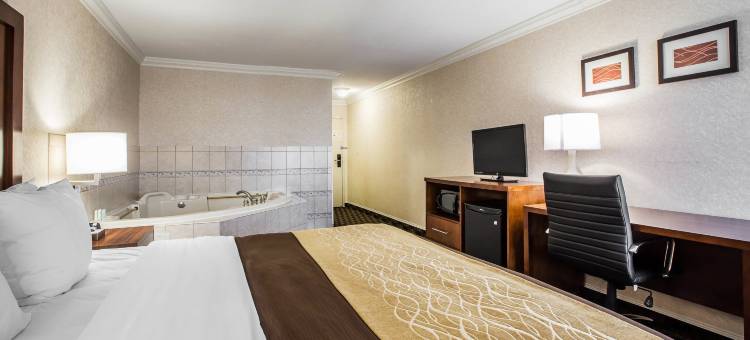 罗珀山路贝斯特韦斯特优质酒店(Best Western Plus Greenville I-385 Inn  Suites)图片