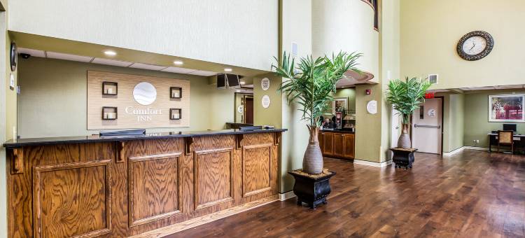 道格拉斯维尔舒适酒店(Comfort Inn Douglasville - Atlanta West)图片