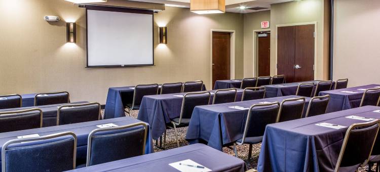 阿普尔顿坎布里亚酒店(Cambria Hotel Appleton)图片