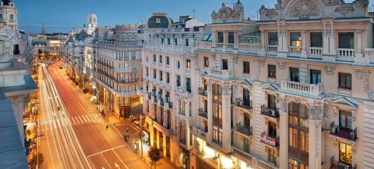 马德里女王别墅H10精品酒店(H10 Villa de la Reina Boutique Hotel Madrid)图片