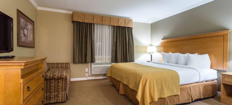 森尼维耳舒适酒店-硅谷(Comfort Inn Sunnyvale - Silicon Valley)图片