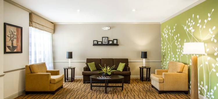 奥本校园区I-85舒眠套房酒店(Sleep Inn & Suites Auburn Campus Area I-85)图片