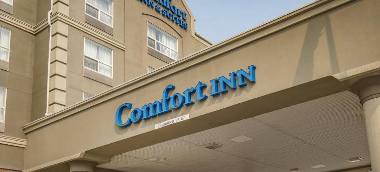 南部舒适酒店(Comfort Inn & Suites South)图片