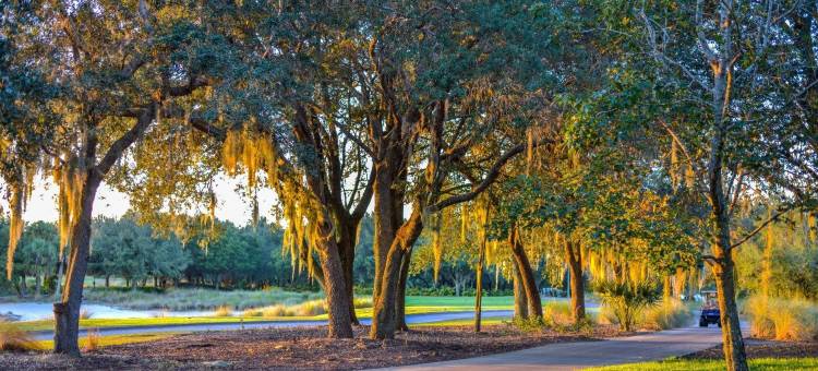 奥兰多神秘沙丘希尔顿度假俱乐部(Hilton Vacation Club Mystic Dunes Orlando)图片