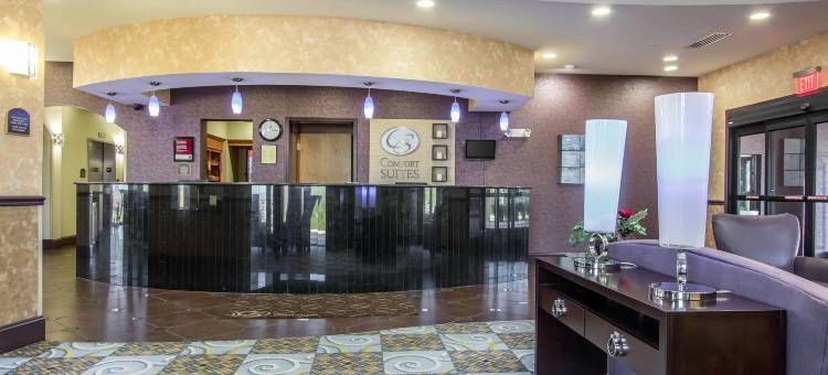 舒适套房酒店(Comfort Suites Smyrna)图片