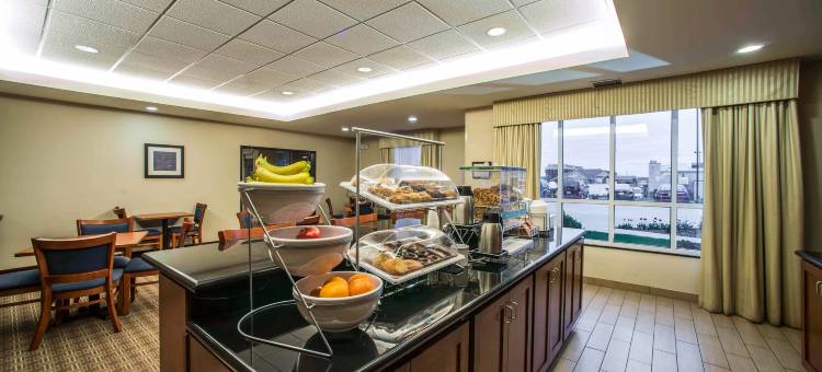 马里恩I-57号舒适套房酒店(Comfort Inn & Suites Marion I-57)图片