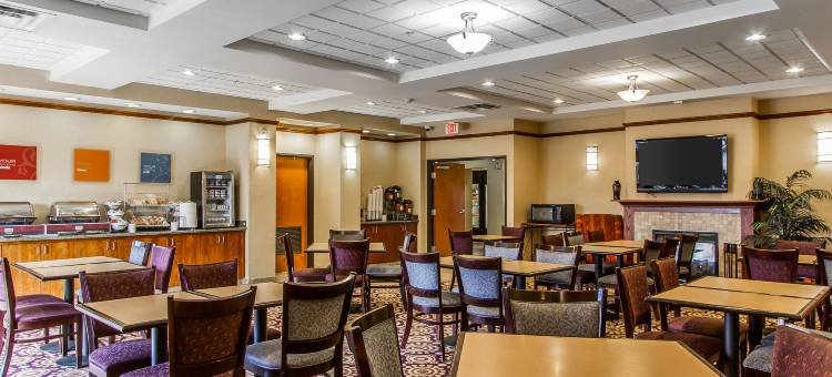 舒适套房酒店-乌尔班纳香槟大学城(Comfort Suites Urbana Champaign, University Area)图片