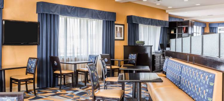 佩尔城靠近洛根马丁湖的康福特套房(Comfort Suites Pell City Near Logan Martin Lake)图片