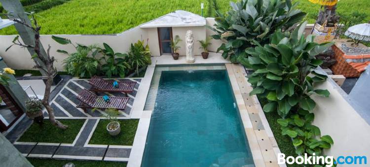 阿南迪塔别墅(Ananditha Villa Ubud Ricefield Views)图片