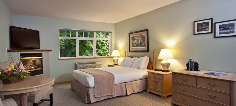 图芬诺泽德酒店(Hotel Zed Tofino)图片