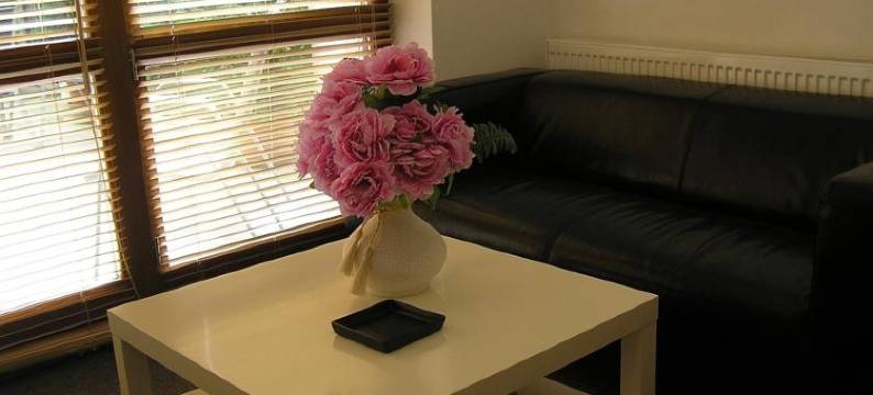 万豪旅馆(Penzion Marriot)图片