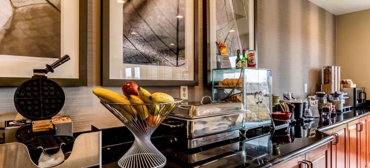 锡达福尔斯滑铁卢智选假日套房酒店(Holiday Inn Express & Suites Cedar Falls - Waterloo)图片