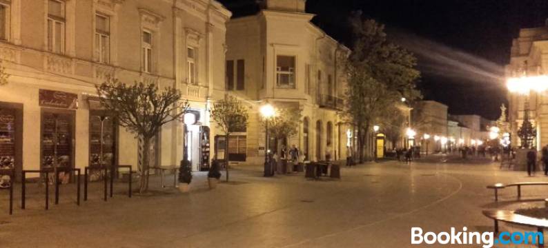 市中心公寓(Downtown Apartment)图片