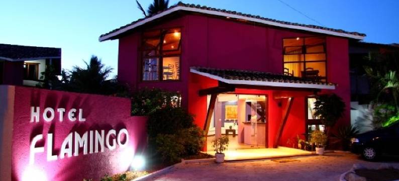 弗拉明戈海滩酒店(Hotel Flamingo Beach by HC)图片