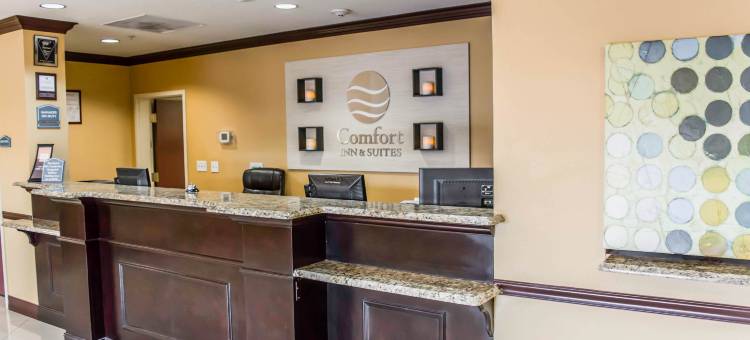 舒适套房酒店-东北/盖特威(Comfort Inn & Suites Northeast - Gateway)图片