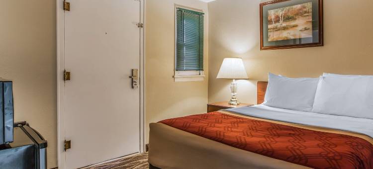 路边汽车旅馆(Roadside Motel)图片