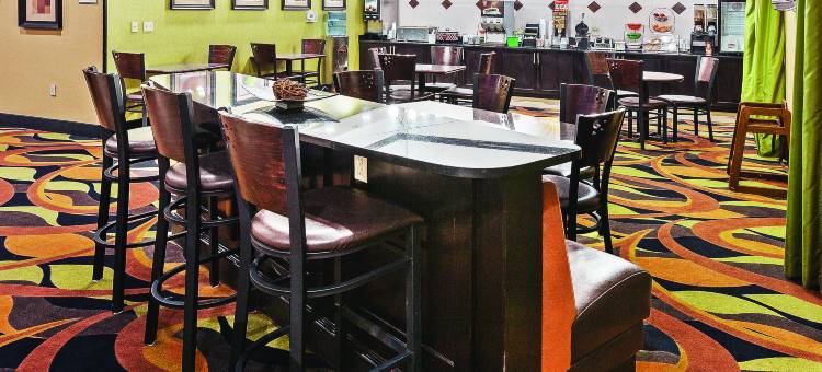 麦卡莱斯特拉昆塔温德姆套房酒店(La Quinta Inn & Suites by Wyndham McAlester)图片