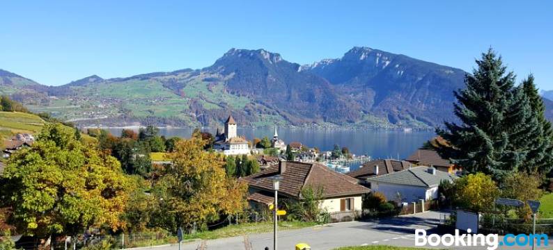 施皮茨阿提卡公寓(Attika Wohnung Spiez)图片