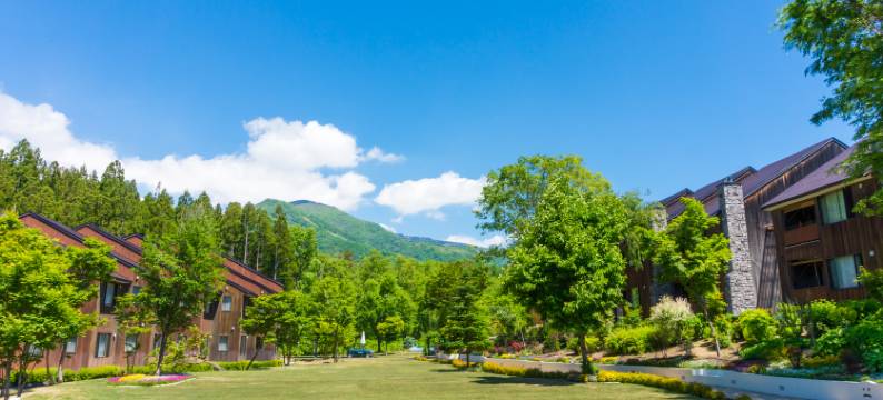 白马塞拉度假村(Hotel Sierra Resort Hakuba)图片