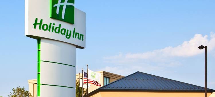 Holiday Inn 芝加哥ELK GROVE(Holiday Inn Chicago-Elk Grove)图片