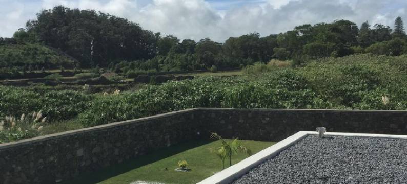 Villa Loureiro-Luxury Retreat图片