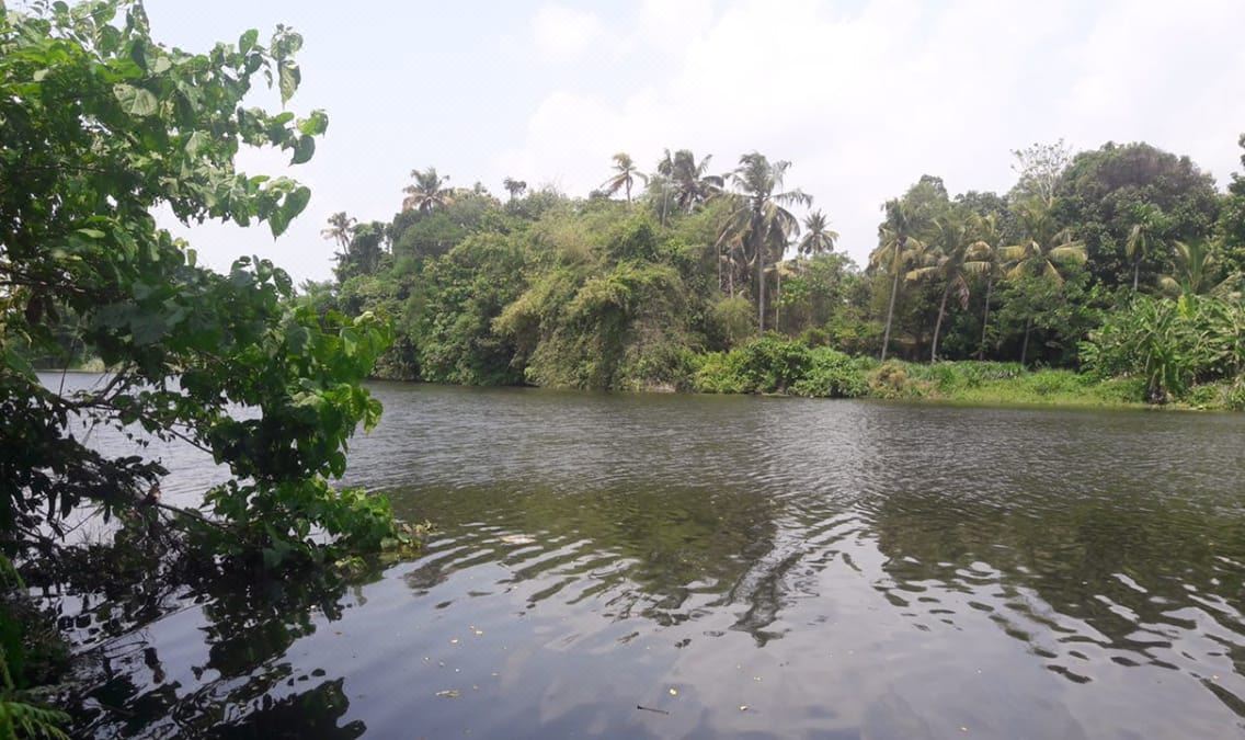 Nadhiyoram River Retreat Hotel Reviews And Room Rates - 