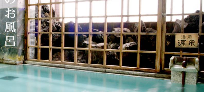 一田屋旅馆(Ichidaya Ryokan)图片