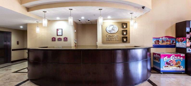 舒适套房酒店(Comfort Suites)图片