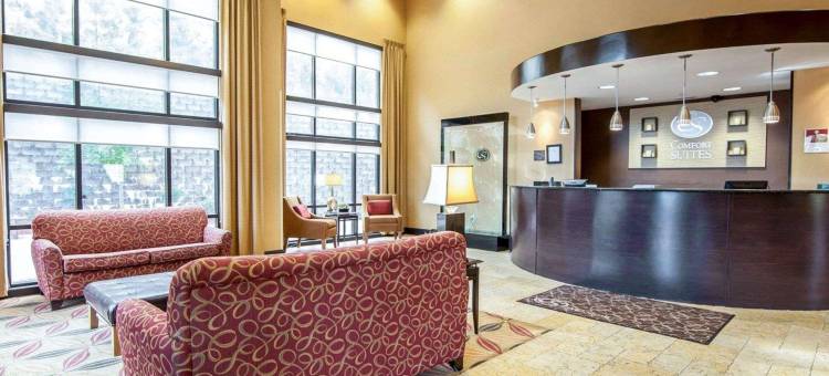 舒适套房酒店(Comfort Suites)图片