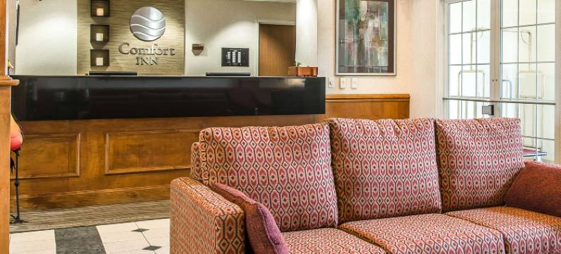 切尔西舒适酒店(Comfort Inn)图片