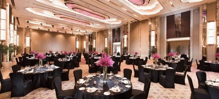 浦那康莱德酒店(Conrad Pune)图片