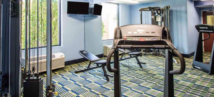 兰坦纳西棕榈滩舒适套房酒店(Comfort Inn & Suites Lantana - West Palm Beach South)图片