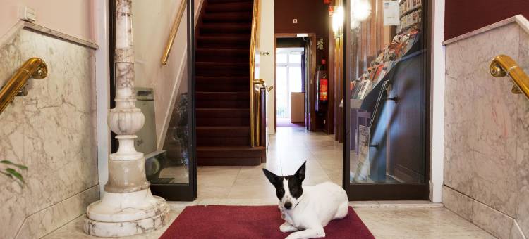 玉兰邻里酒店(Hotel the Neighbour's Magnolia)图片