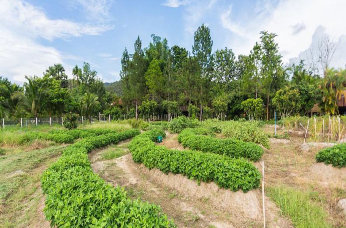 Khoom Kam Kaew Farm And Resort Hotel Reviews And Room Rates - 