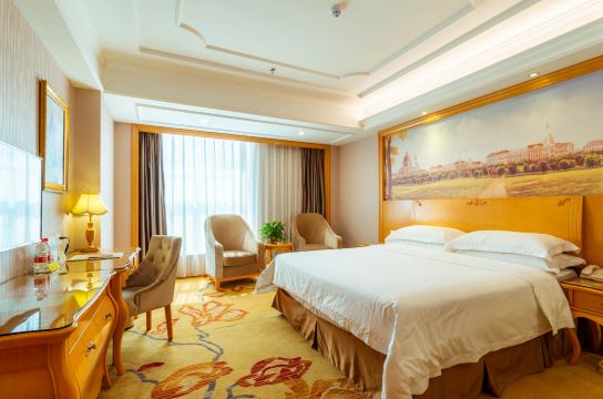 vienna international hotel (changsha lugu)