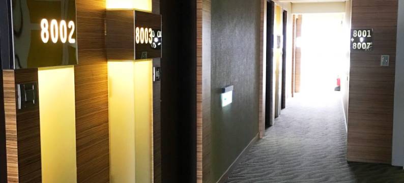 桃园蜜月世纪大饭店图片