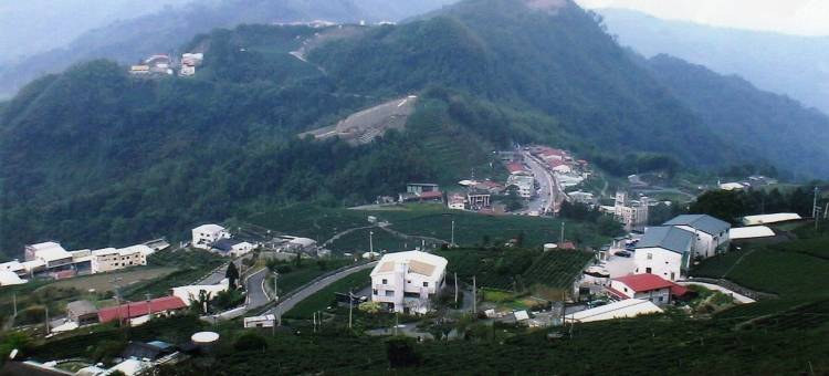 顶石棹茗苑民宿图片
