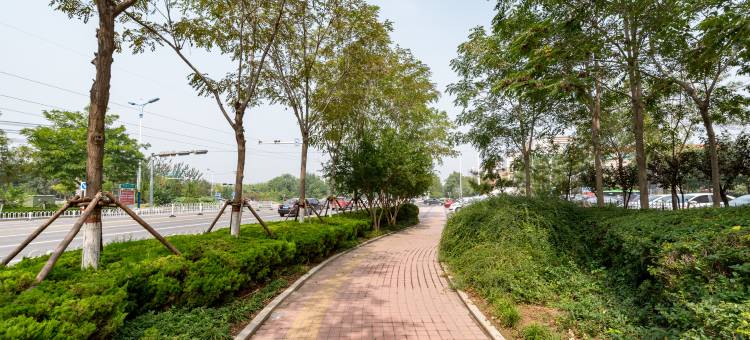 格林豪泰酒店(滨州万达广场黄河十路店)图片