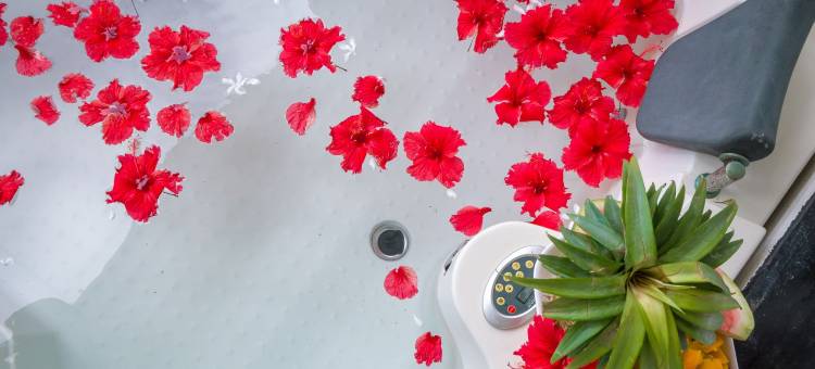 吉汶瓦海滩度假酒店(Kiwengwa Beach Resort)图片