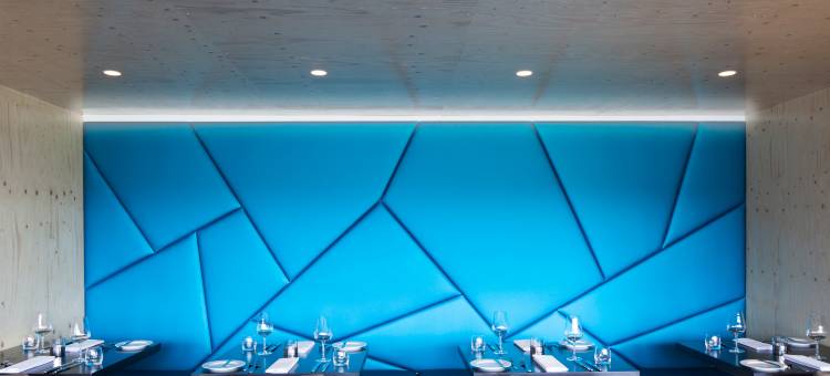 内斯雅维利尔 ION 冒险酒店，设计酒店集团旗下成员(Ion Adventure Hotel)图片