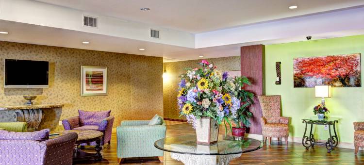 舒适套房酒店(Comfort Suites)图片