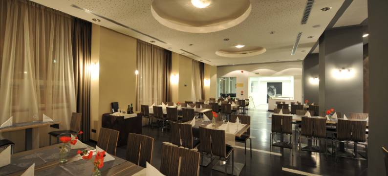 蒂米什瓦拉酒店(Hotel Timisoara)图片