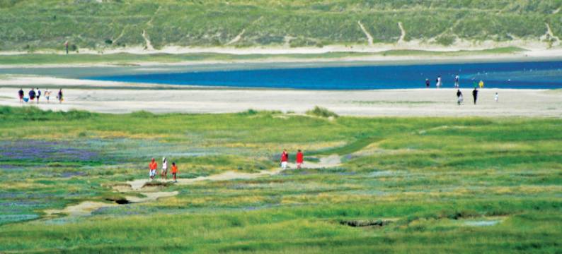 Koogerend酒店(Hotel Koogerend)图片