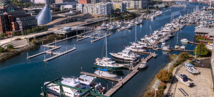 塔科马市中心智选假日套房酒店(Hilton Garden Inn Tacoma Downtown)图片