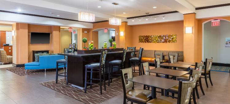 智选假日套房酒店达拉斯西(Holiday Inn Express & Suites Dallas W - I-30 Cockrell Hill)图片